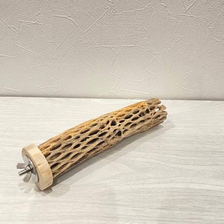 カクタスパーチ⑨ 小サイズ長さ18cm