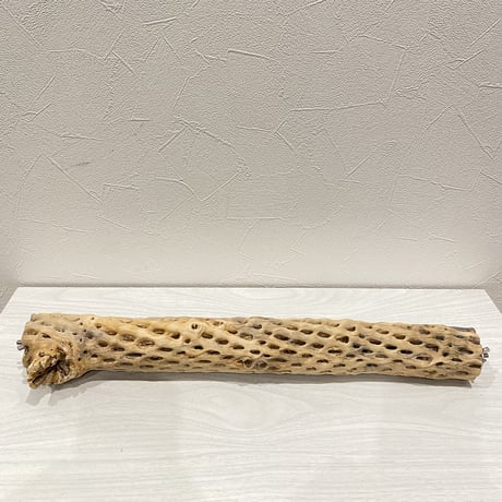 ケージサイズカクタスパーチ  中サイズ②（直径約5.5cm）HOEI465