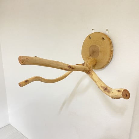 ピノキオの鼻 ③