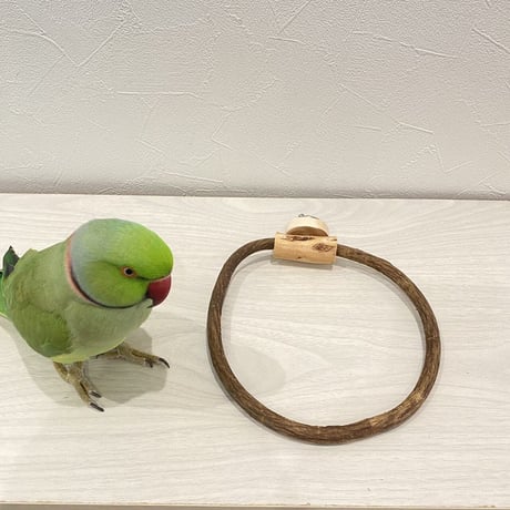 自然木（ツタ）のドーナツパーチビックサイズ Ｊ パーチ直径1cm／円直径17.5×16.5cm