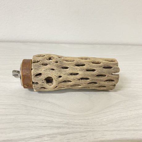 カクタスパーチ③ 小サイズ 直径（約4cm）長さ/10cm