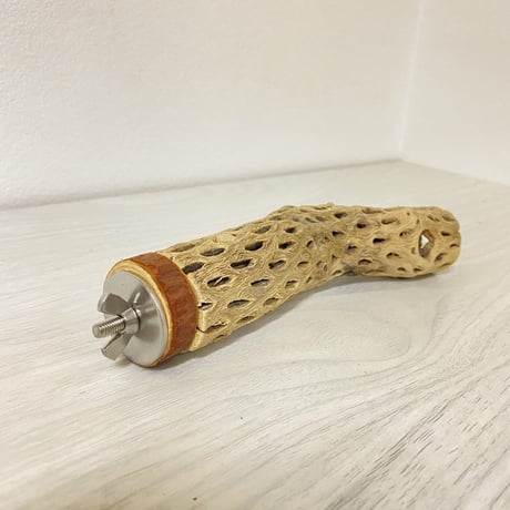カクタスパーチ⑫ 極小サイズ 直径（約2-3cm）長さ/15cm