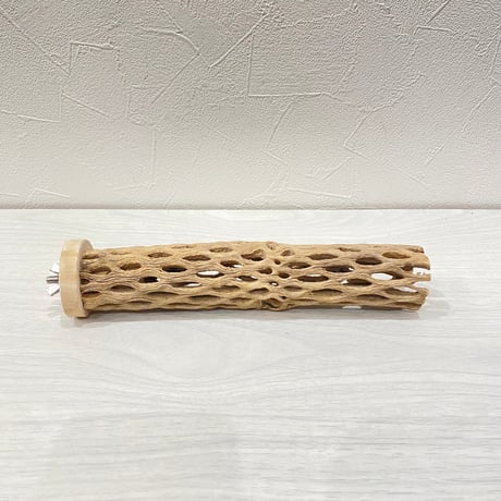 カクタスパーチ⑪小3-4㎝長さ20㎝