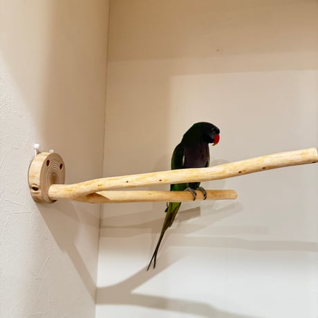 桧のピノキオの鼻 ②  【自然木 天然木 止まり木 インコ オウム】