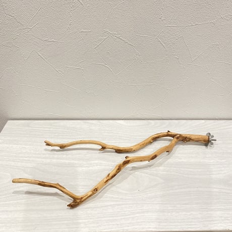 自然木（カイヅカイブキ）のパーチ⑦　直径0.8～1.2cm／長さ38cm