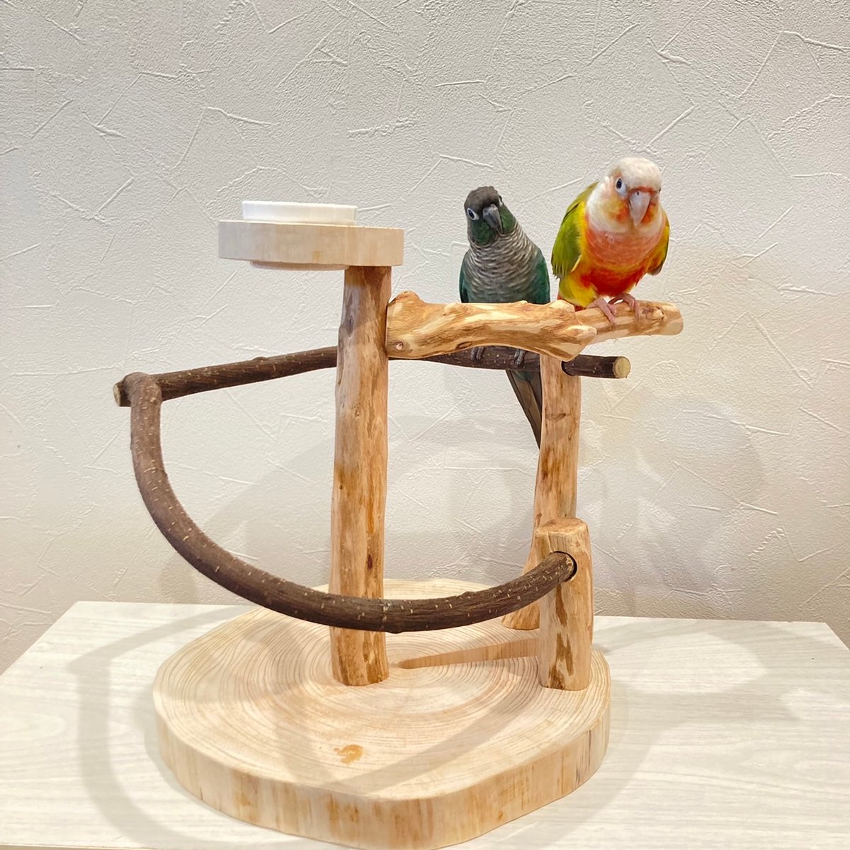 ツタのぐるぐるバードアスレチック④【インコのおもちゃ・自然木の