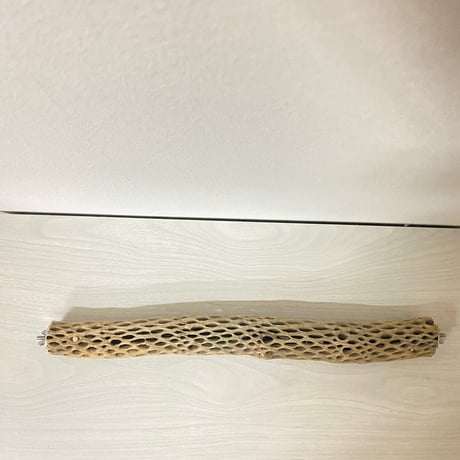 ケージサイズカクタスパーチ 小サイズ直径3-4cm HOEI465 ①