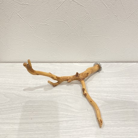 自然木（カイヅカイブキ）のパーチ⑥　直径1～2cm／長さ22cm