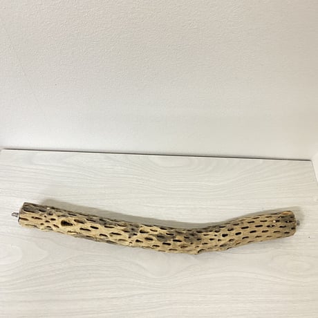 ケージサイズカクタスパーチ② 小サイズ直径4cm HOEI465サイズ