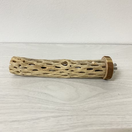 【ココナッツ様専用】カクタスパーチ極小　直径2〜3cm／長さ16cm