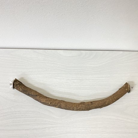 殿様パーチ（自然木ツタ）③ 直径2.5cm/HOEI35サイズ