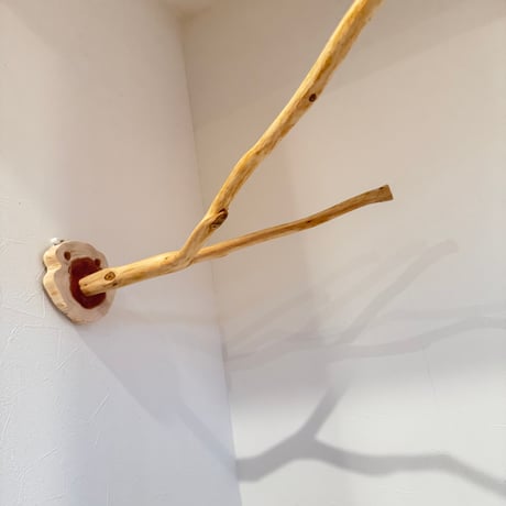 桧のピノキオの鼻 ①