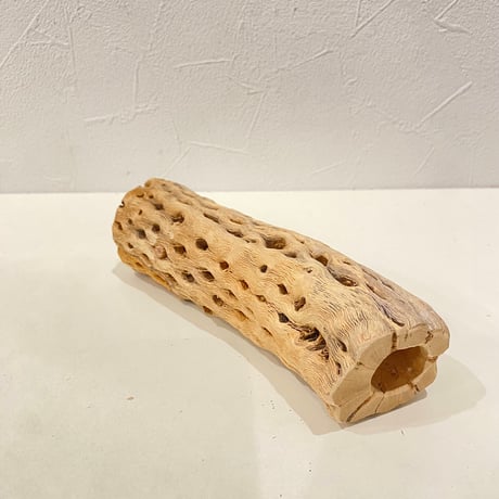 カクタスパーチ⑨ 直径約4.5cm/長さ16cm