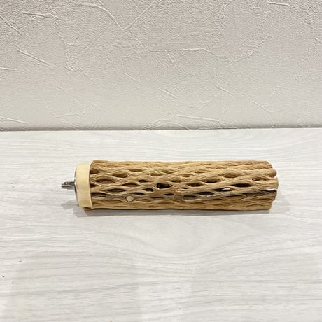 カクタスパーチ【20】小 直径約3-4cm/15cm