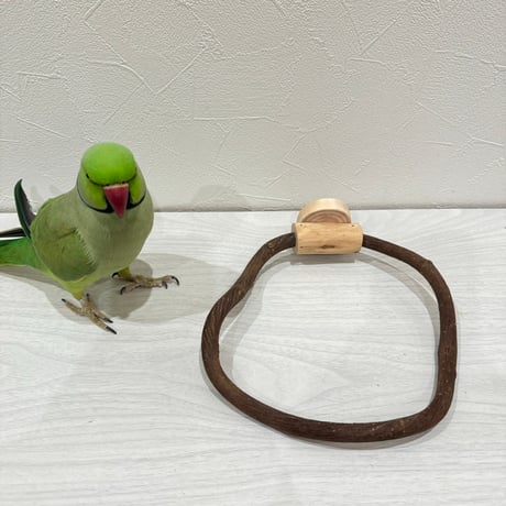 自然木（ツタ）のドーナツパーチJ【太めサイズ】