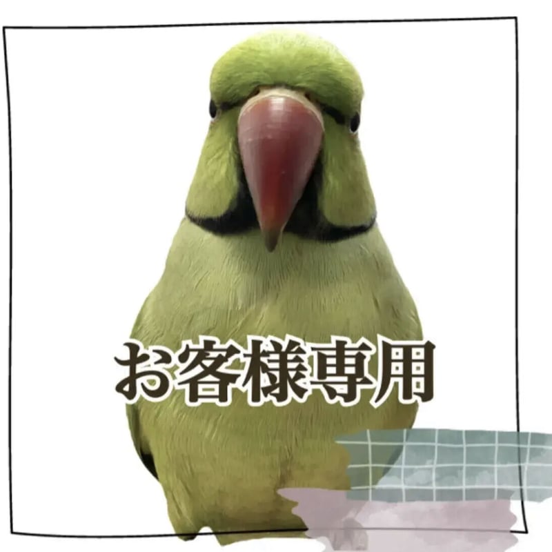 pukupuku様専用 カクタスパーチ | 自然木の鳥用品 鳥豆堂【トリマメドウ】