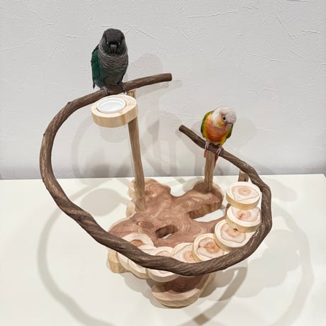 螺旋階段とツタのスタンドパーチ【インコのおもちゃ・ブランコ・自然木のとまり木】バードアスレチック