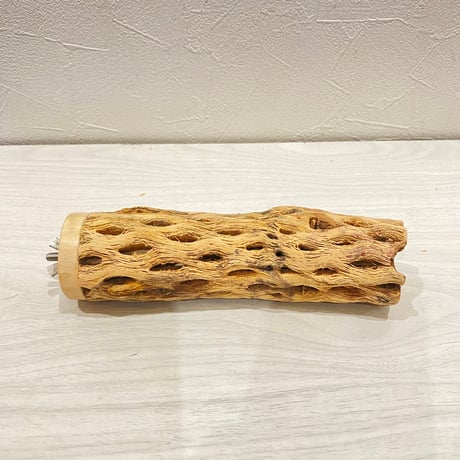 カクタスパーチ【23】直径4~5cm/長さ16cm