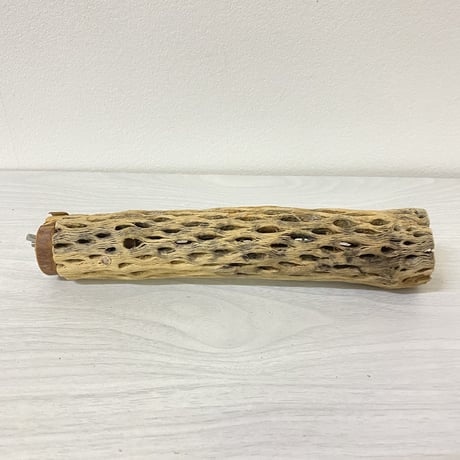 カクタスパーチ⑨ 中サイズ 直径（約5.5cm）長さ/23cm
