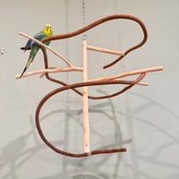 コトリのなる木ミニ　ツタのつり下げバードアスレチック【インコ おもちゃ 自然木】