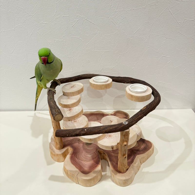 ツタと螺旋階段のおやつ入れ付きスタンドパーチ【インコのおもちゃ