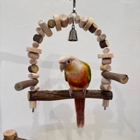 ツタとステンレスベルのブランコ⑤