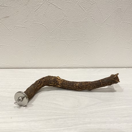 自然木（ツタ）パーチ⑦ 直径2.5cm 長さ22.5cm