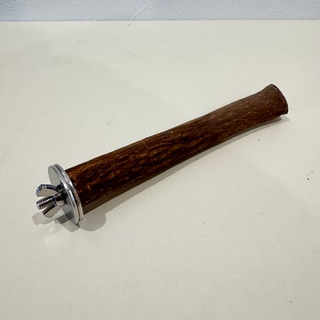 自然木（ツタ）パーチ 直径約2.1cm/長さ15.8cm