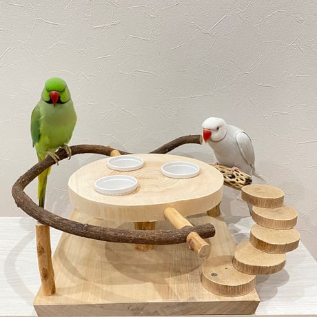 ツタとカクタス アリスのお茶会テーブル