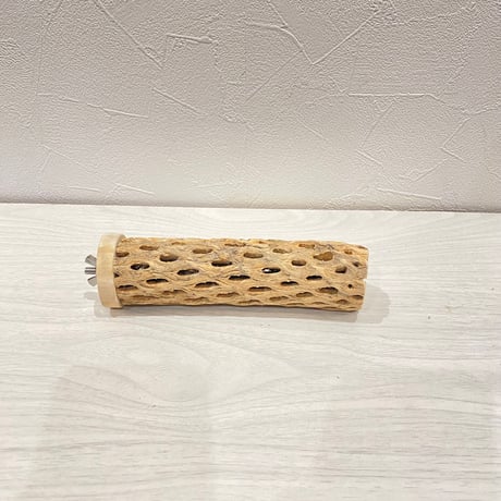 カクタスパーチ小直径3~4cm 長さ15cm ⑥