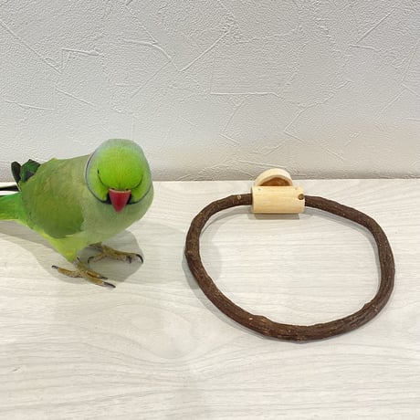自然木（ツタ）のドーナツパーチビック 【B】パーチ直径1cm／円直径16.5×16cm
