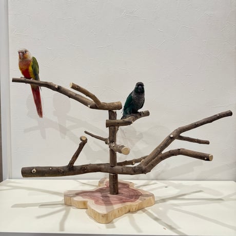 無農薬レモンの木のスタンドパーチ　現品限り  【インコ 自然木 止まり木 】