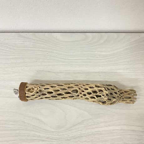 カクタスパーチ⑥ 極小サイズ 直径（約3-4cm）長さ/15cm
