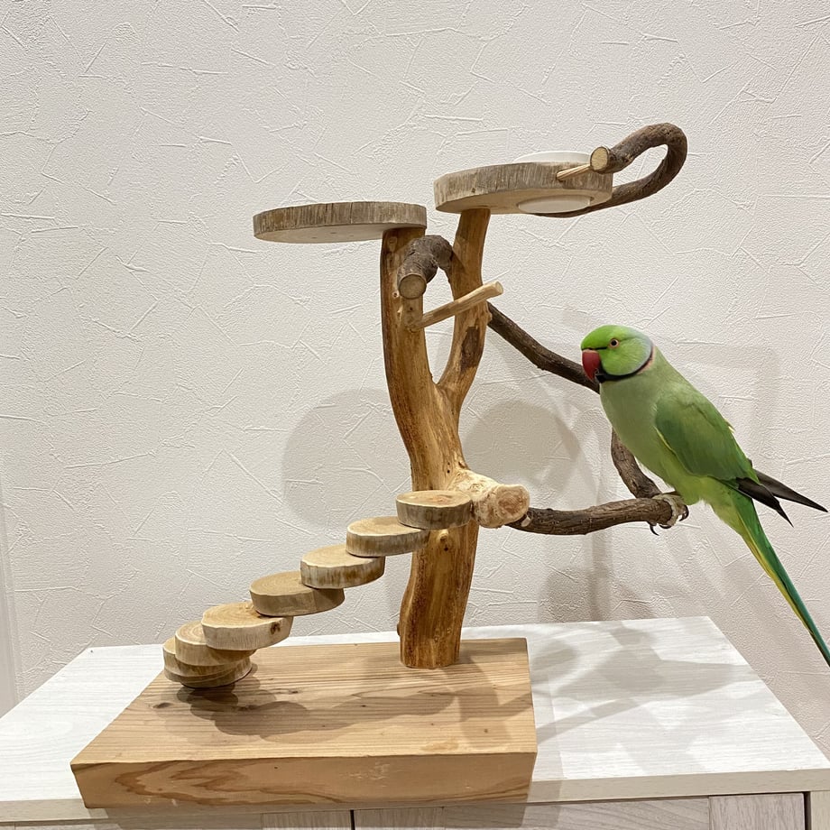 633309f74b083917cdbc9d4d