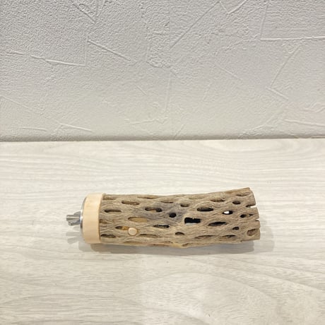 カクタスパーチ小① 直径約3~4cm 長さ10cm