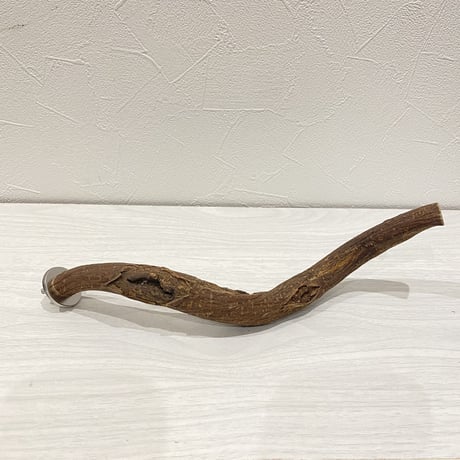 自然木（ツタ）パーチ⑤小型・ 中型用