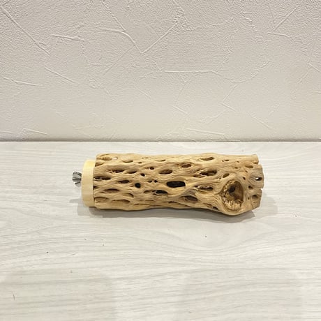 カクタスパーチ【10】中直径約5.5cm/15cm