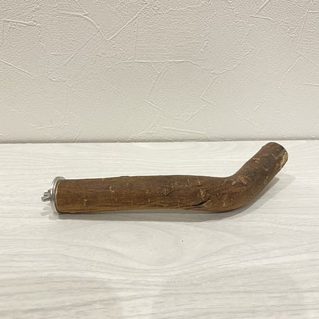 自然木（ツタ）パーチ①  中型・大型用