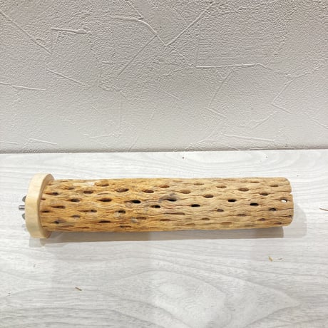 カクタスパーチ小③ 直径約3~4cm 長さ20cm