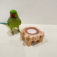 貝塚伊吹おやつ入れつきちゃぶ台【自然木 インコ】