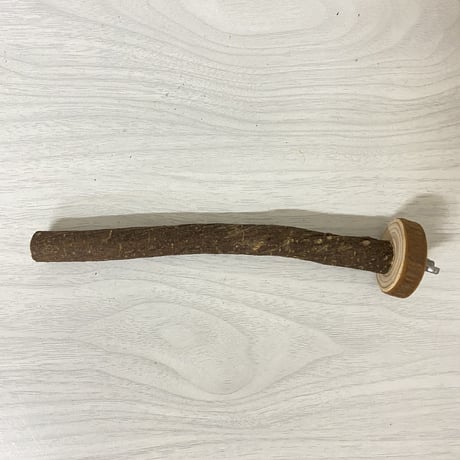 自然木（ツタ）パーチ①　直径1.5cm/長さ15cm