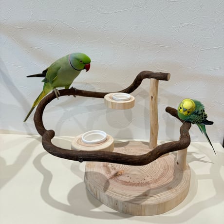 ツタのぐるりんぴーちくパーチ