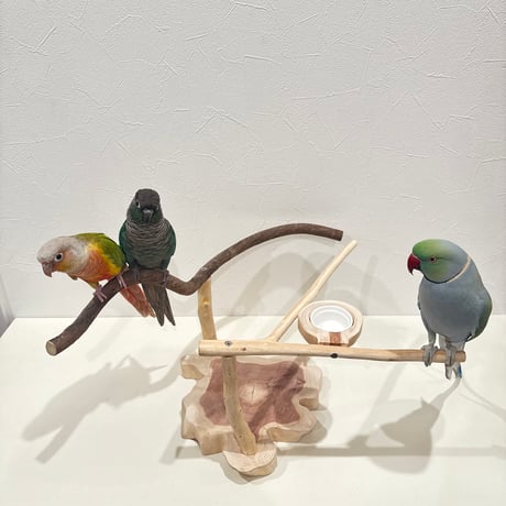 ツタと桧のおやつ入れ付きスタンドパーチ  【インコ 自然木 止まり木 】