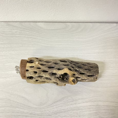 カクタスパーチ③小サイズ直径（約3-4cm）／14cm