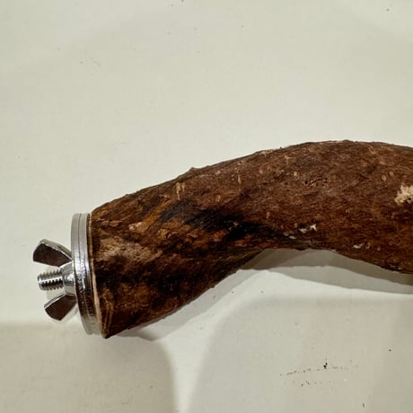 自然木（ツタ）パーチ 直径約3cm/長さ13.5cm
