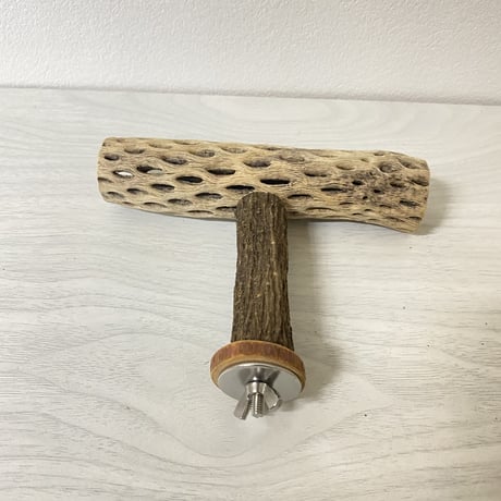 【エピ様専用】カクタスのT字パーチ  横15cm／足8cm
