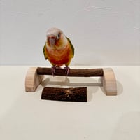 幼鳥・老鳥・介護用　置き型パーチ②【セキセイ・ウロコ・オカメ】