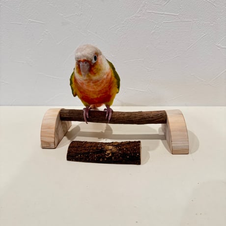 幼鳥・老鳥・介護用　置き型パーチ②【セキセイ・ウロコ・オカメ】