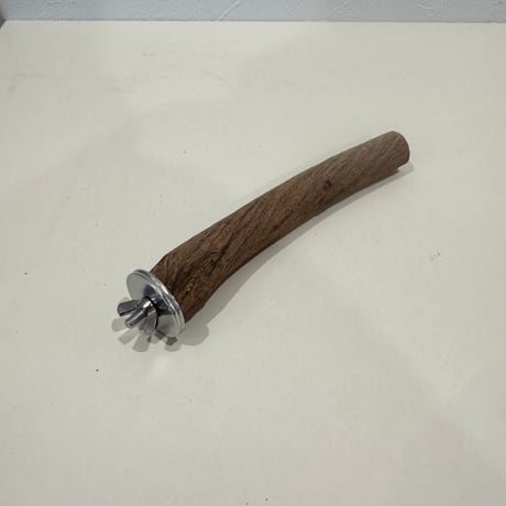 自然木（ツタ）パーチ 直径約1.8cm/長さ18.5cm