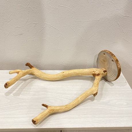 ピノキオの鼻⑤  貝塚伊吹